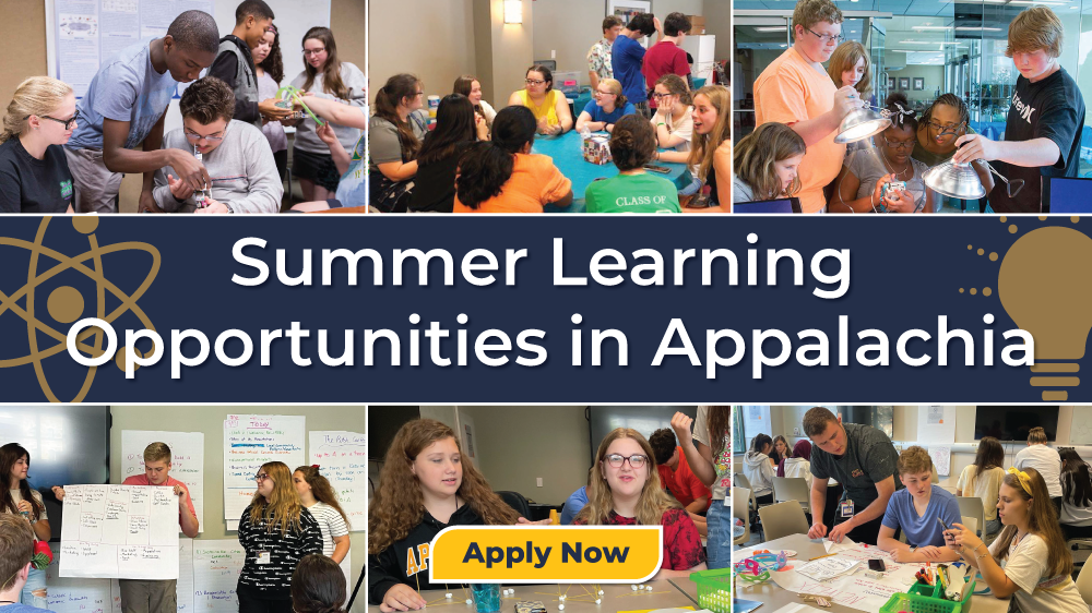 ARC Accepting Applications for Summer Study Programs in